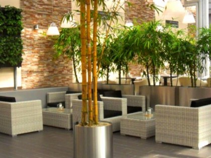 Foto: Bambusgarten 