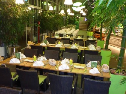 Foto: Bambusgarten 