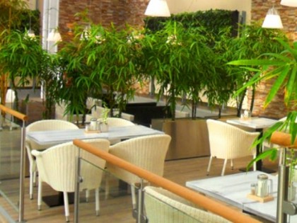 Foto: Bambusgarten 
